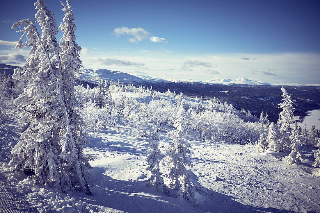 Snowy winter landscape