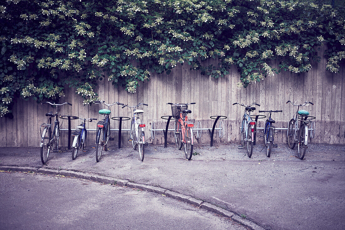 Fahrräder neben einem Holzzaun geparkt