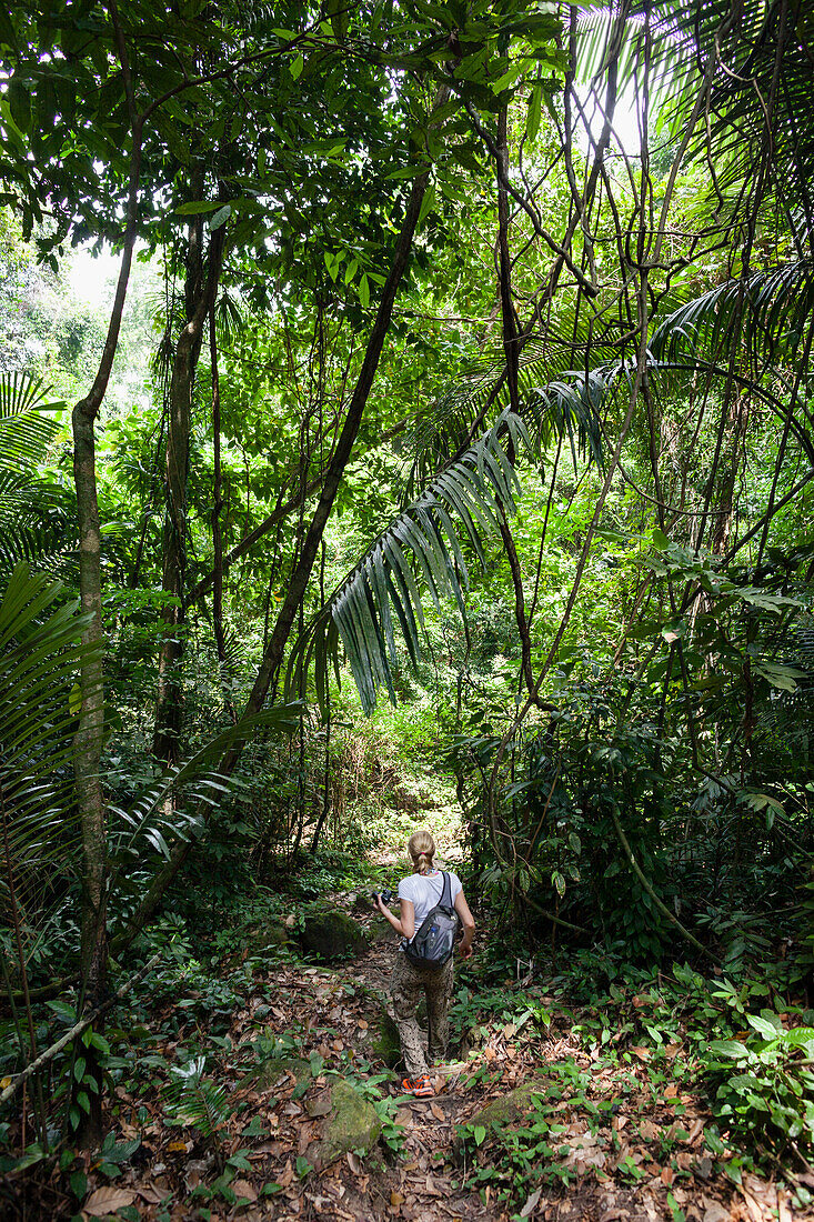 Frau beim Wandern im Dschungel