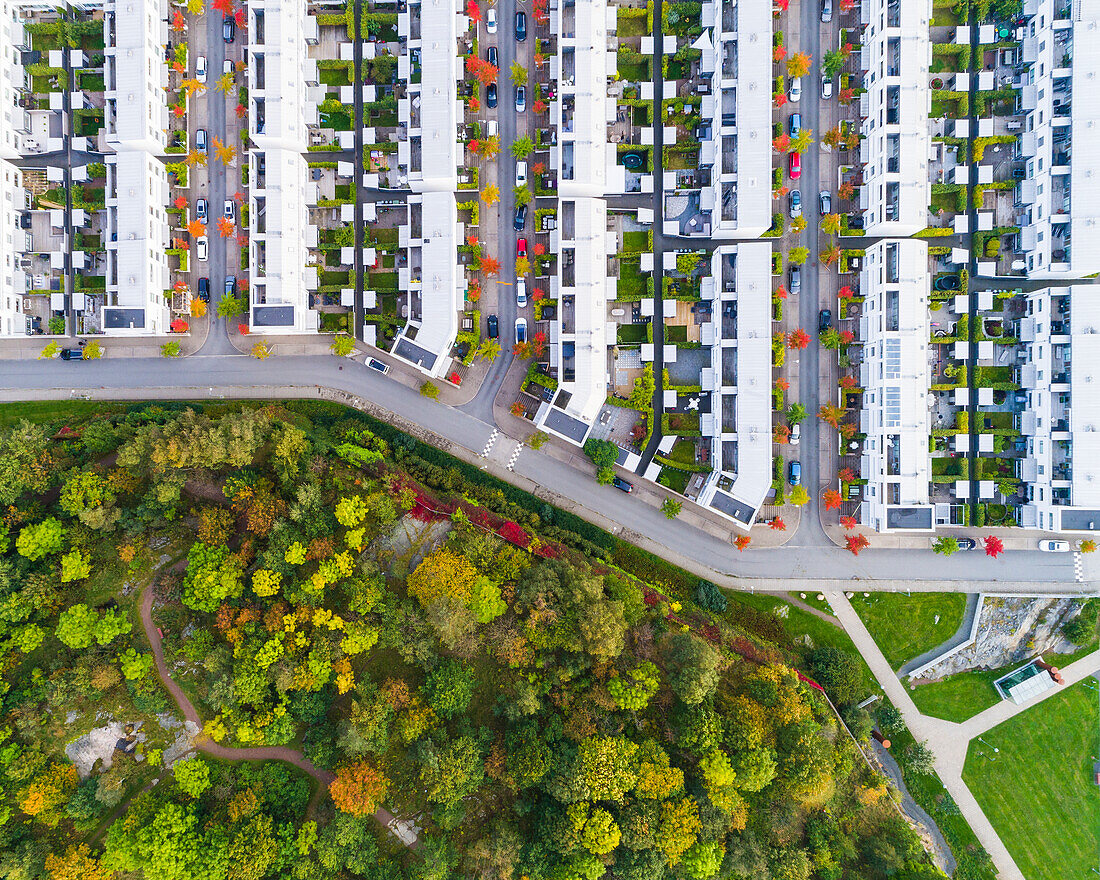 Aerial view of houses