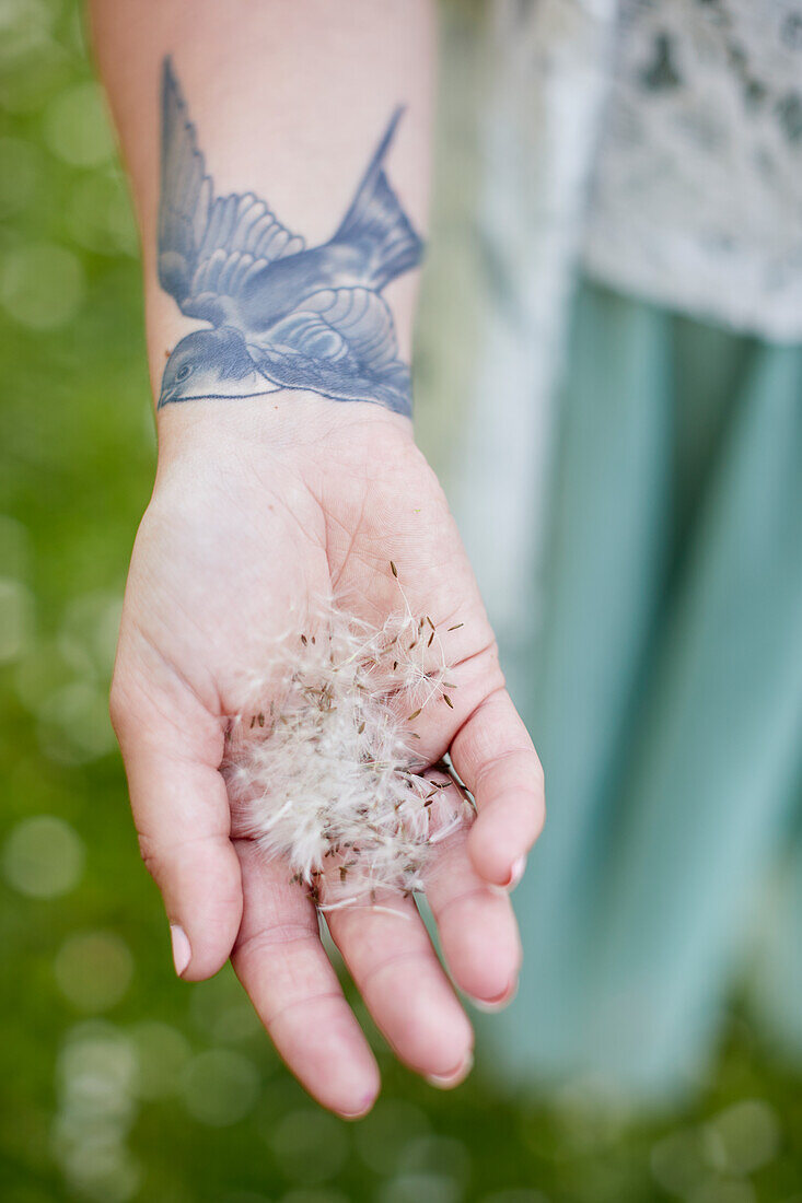 Hand holding dandelion seeds