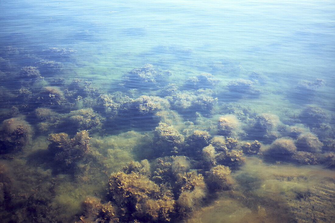 Lake floor seen from over the surface