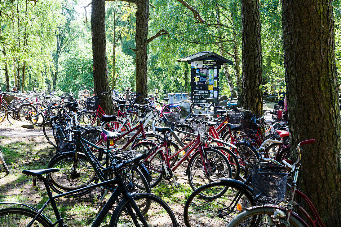 Fahrräder auf einem Waldparkplatz