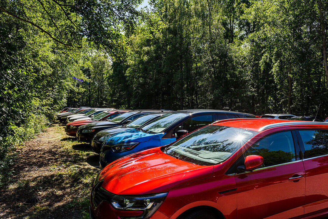 Autoschlange auf Waldparkplatz