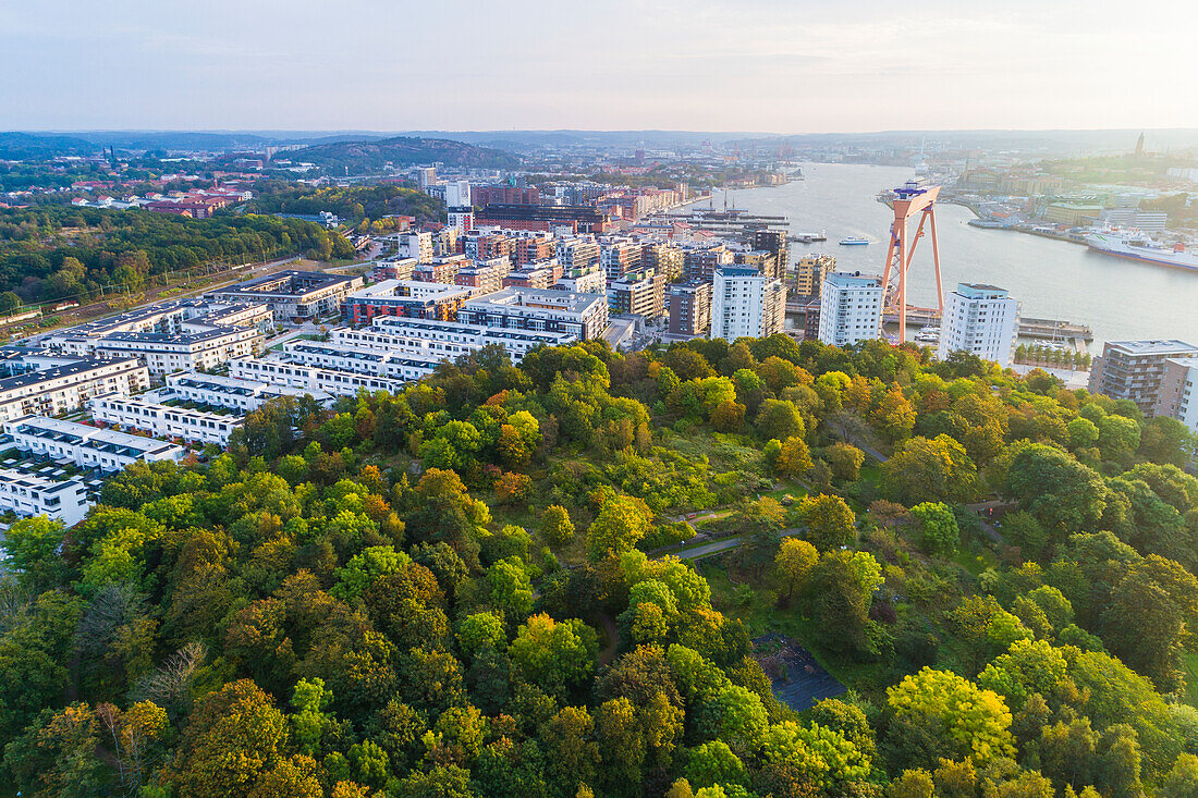 Aerial view of park in city