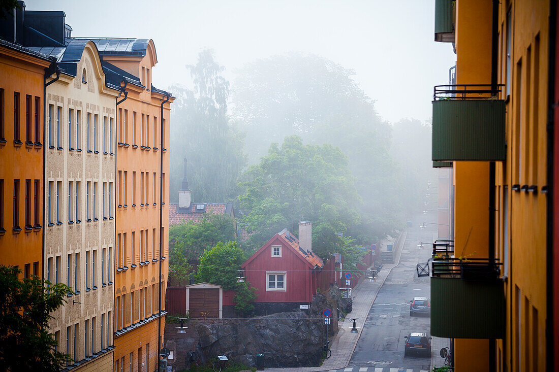 City street in fog
