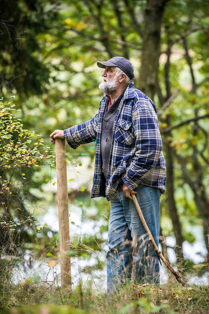 Älterer Mann steht im Wald