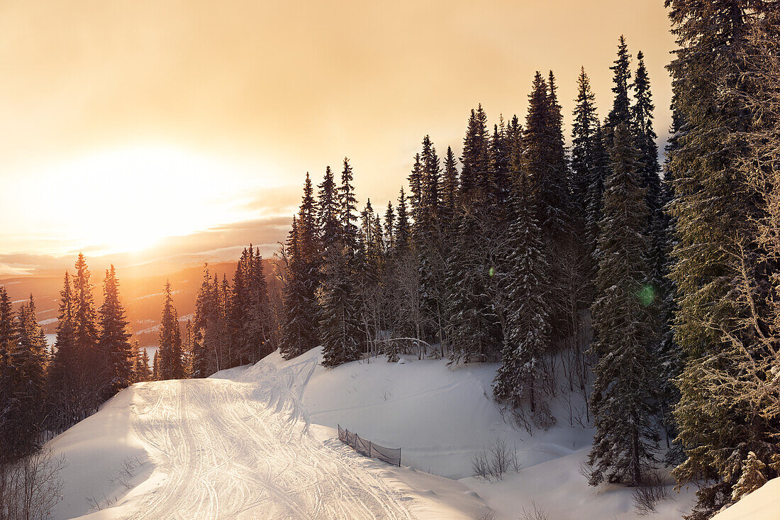 Winter landscape at sunset