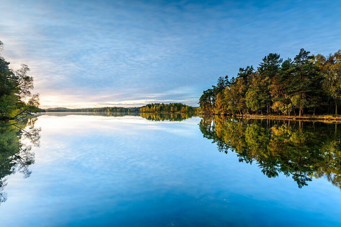 Bäume, die sich im Wasser spiegeln