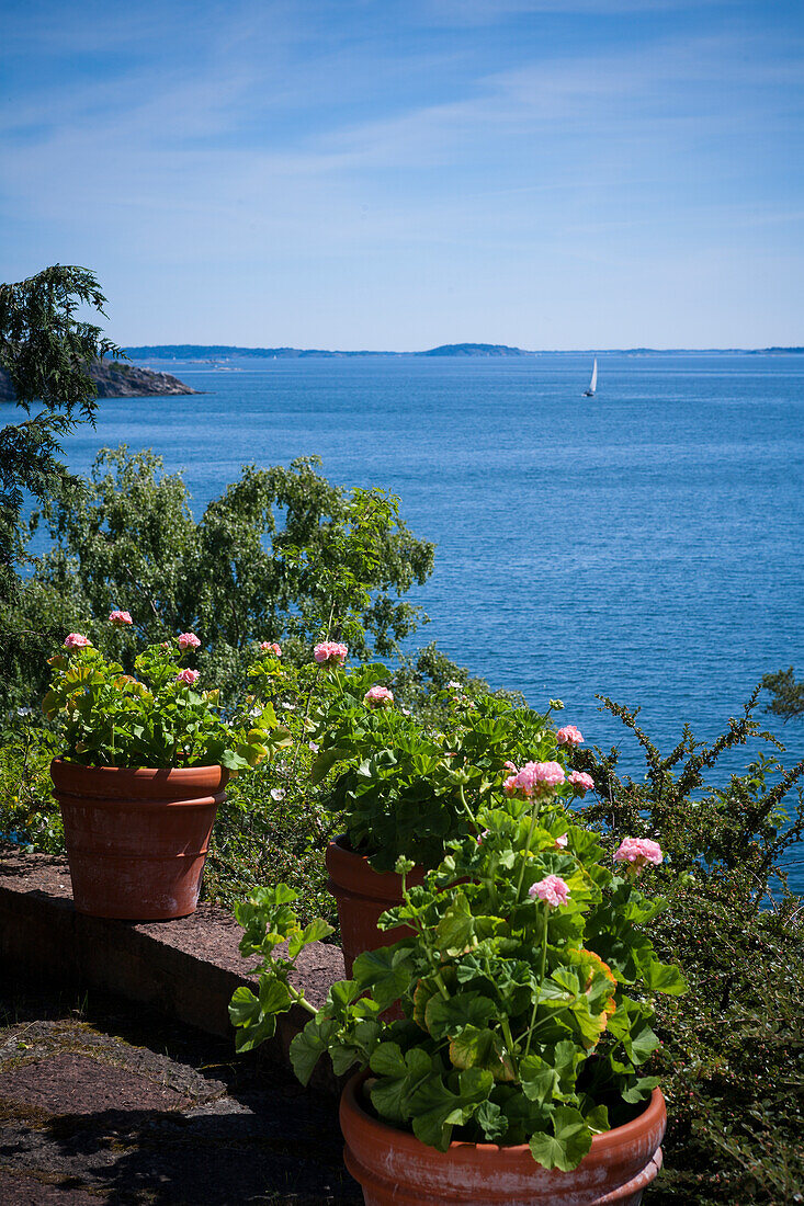 Garten mit Blick auf das Meer