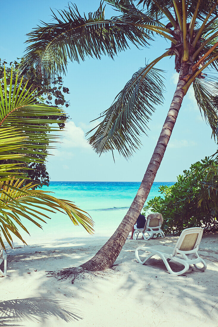 Sun chairs on beach