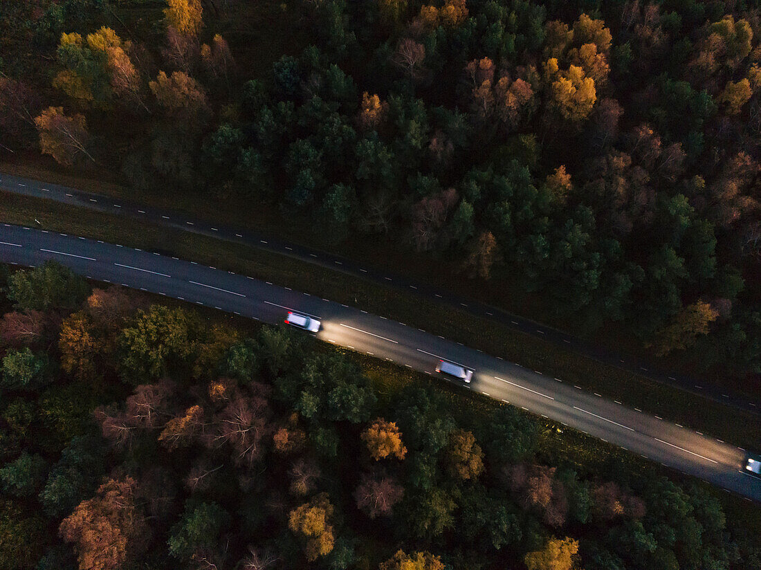 Highway in forest