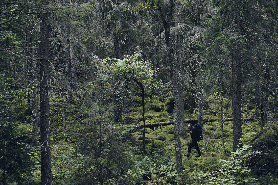 Mann wandert im Wald