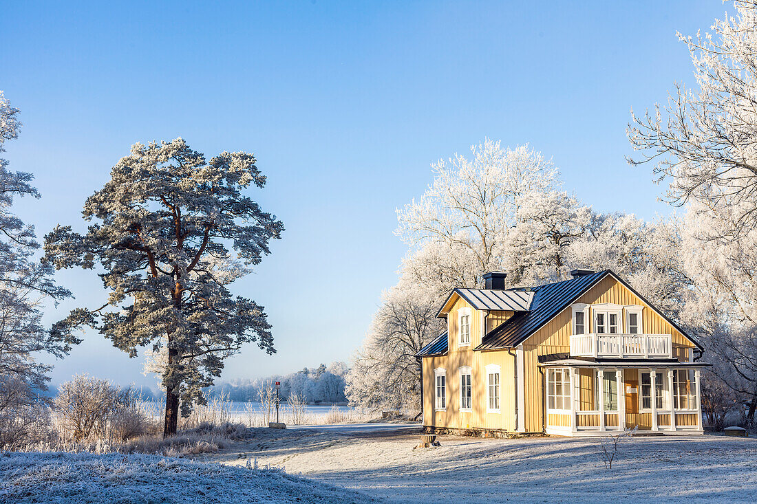 Cottage in winter