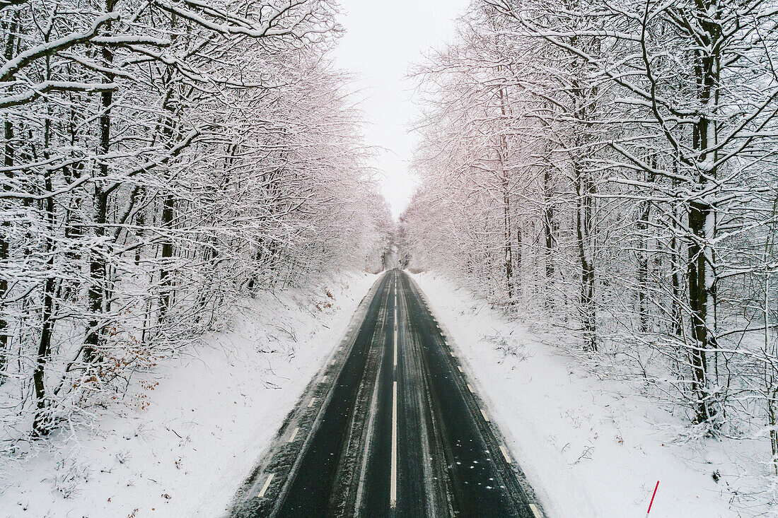 Straße im Wald im Winter