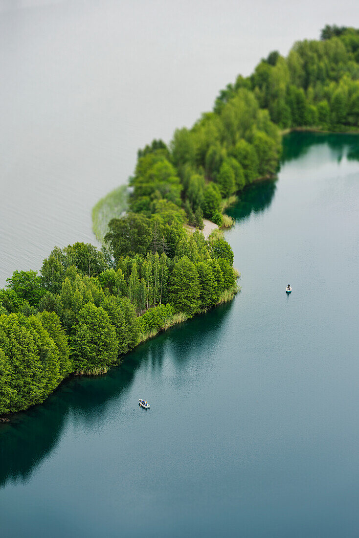 Trees at lake, aerial view