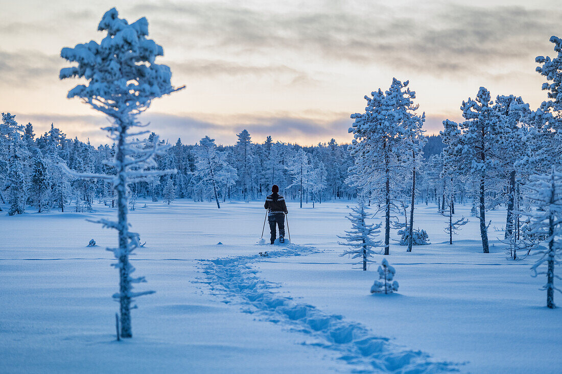 Nordic walking at winter