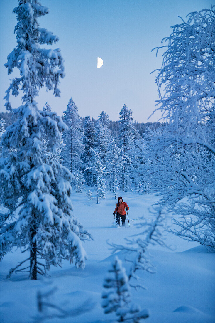 Nordic walking at winter