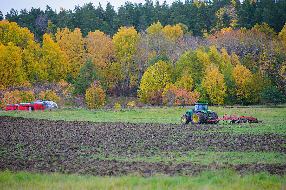 Traktor auf dem Feld