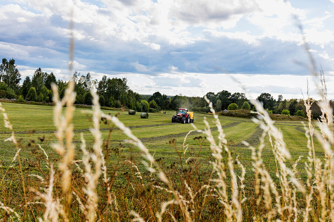 Traktor auf dem Feld