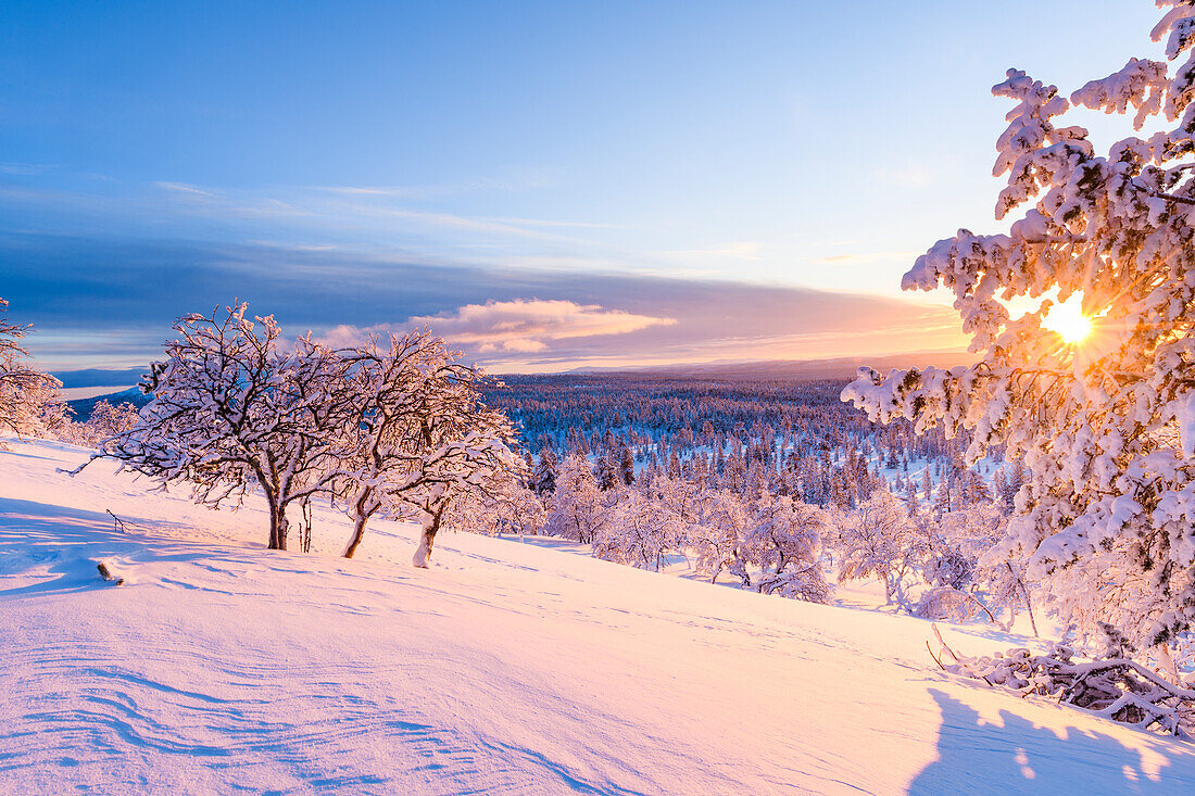 Winter landscape at sunset