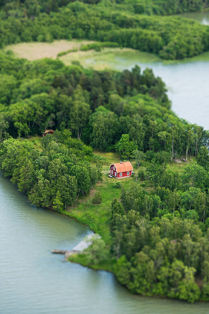 Aerial view of house among trees