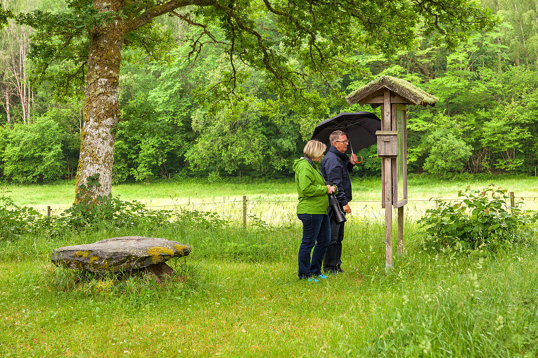 Senior hikers reading information sign in park