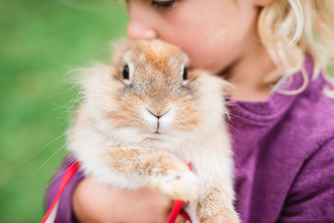 Mädchen mit Kaninchen