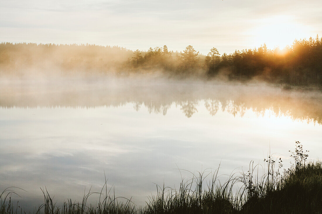 Fog over lake