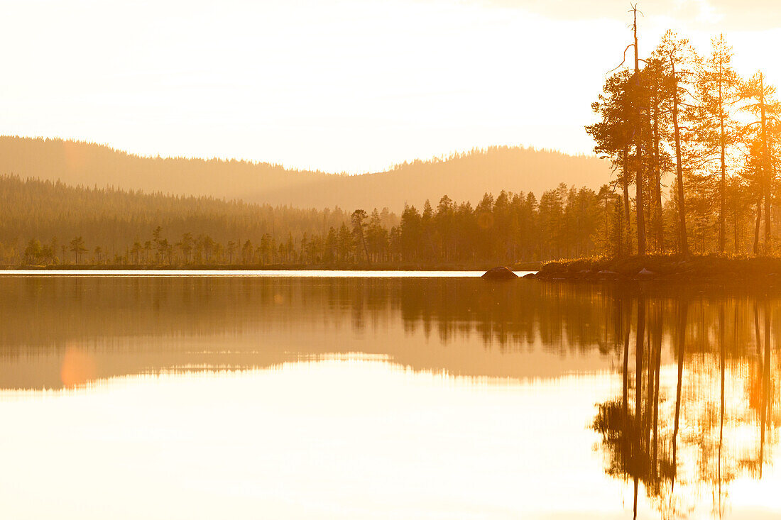 Forest reflecting in lake