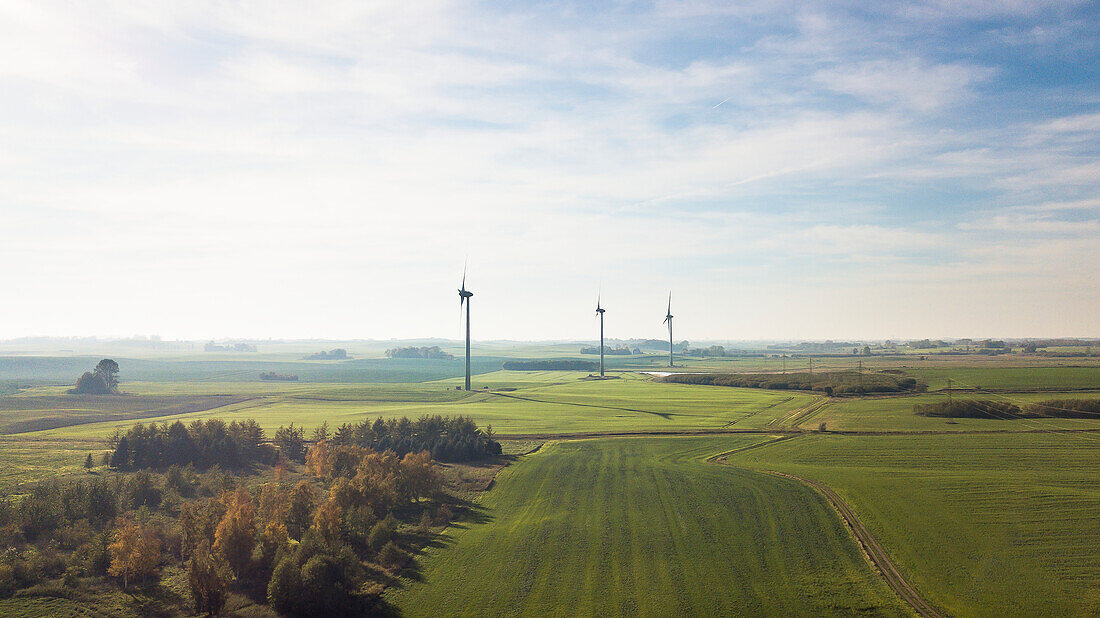 Wind turbines in field