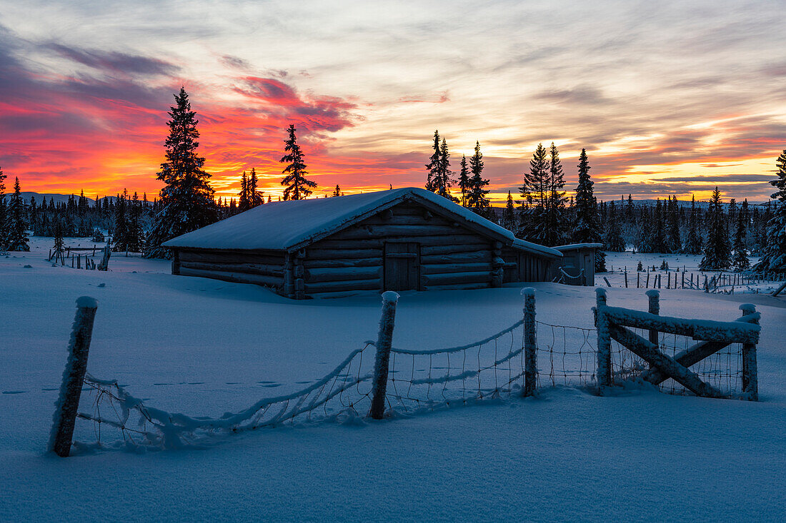 Sonnenuntergang im Winter