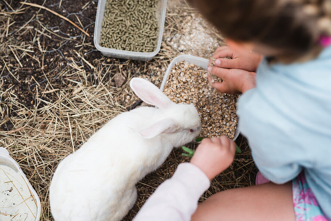Kinder füttern Kaninchen