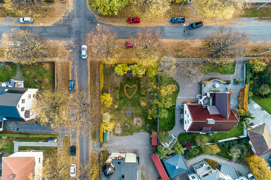 Suburbs at autumn