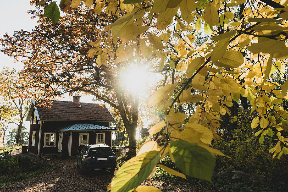 Auto vor einem Holzhaus