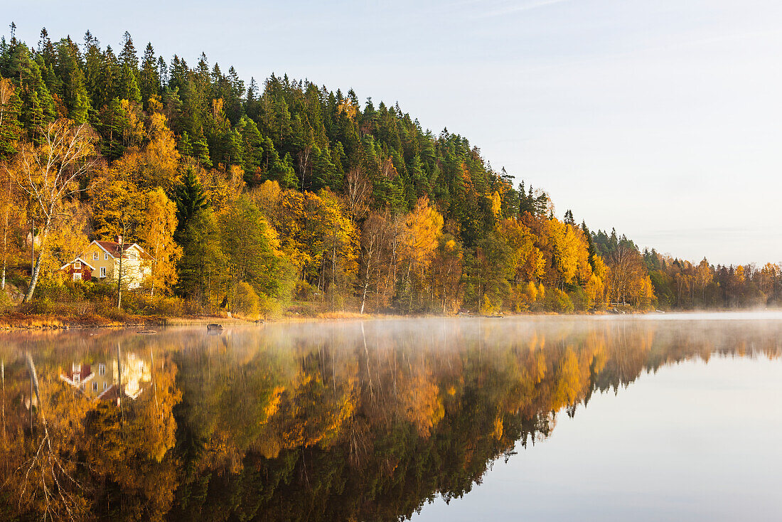 Autumn forest reflecting in lake