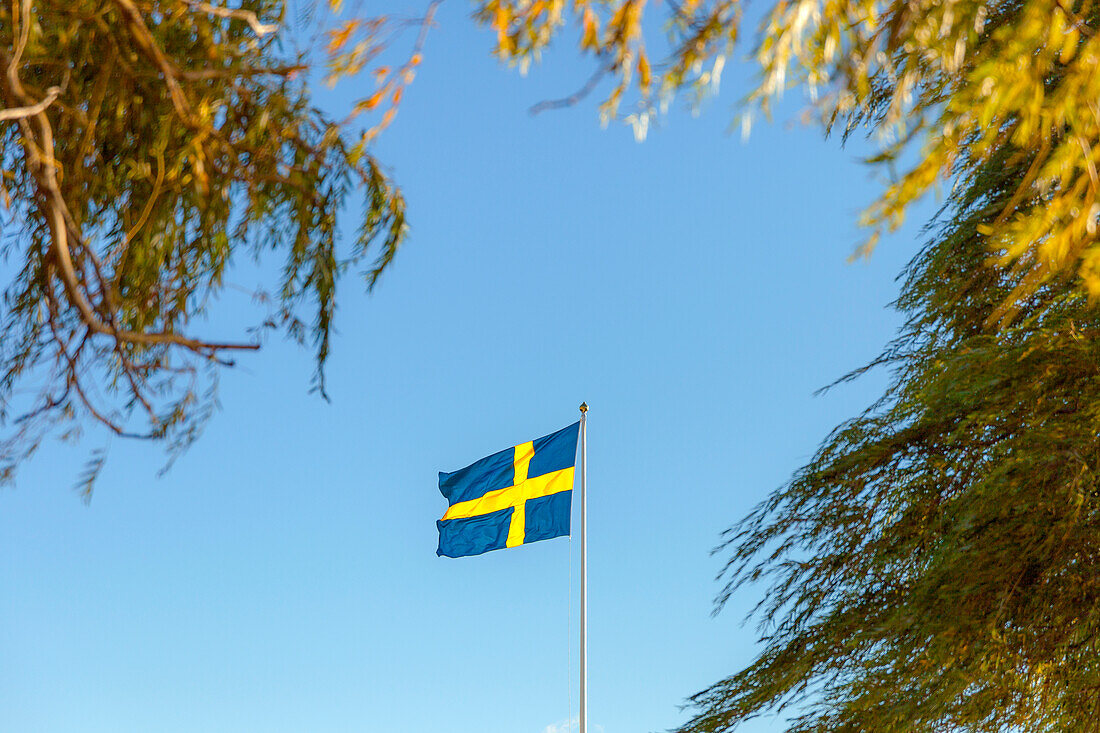 Swedish flag against sky