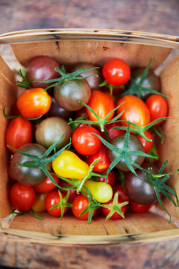 Bunte Tomaten im Korb
