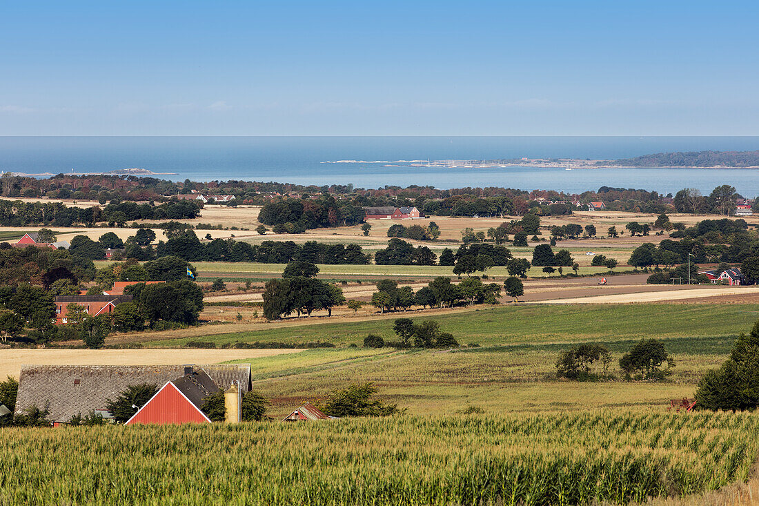 Coastal landscape