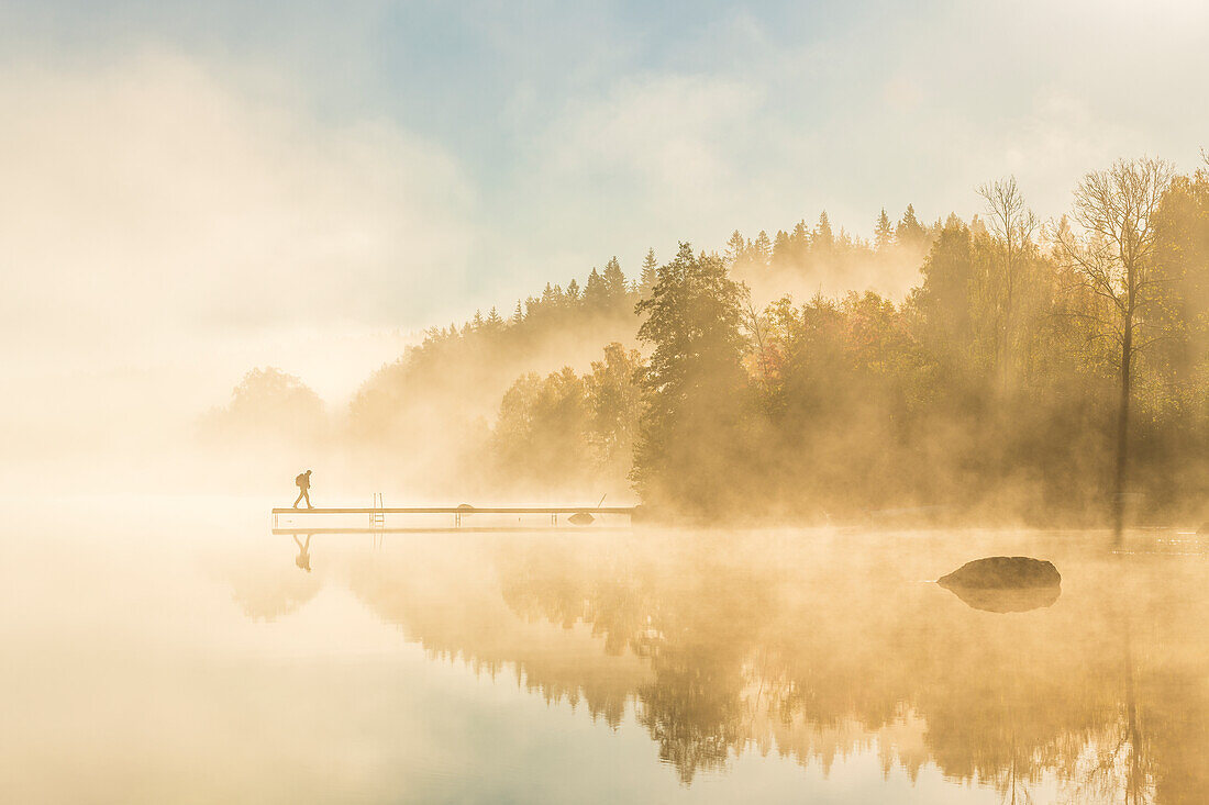 Fog over lake