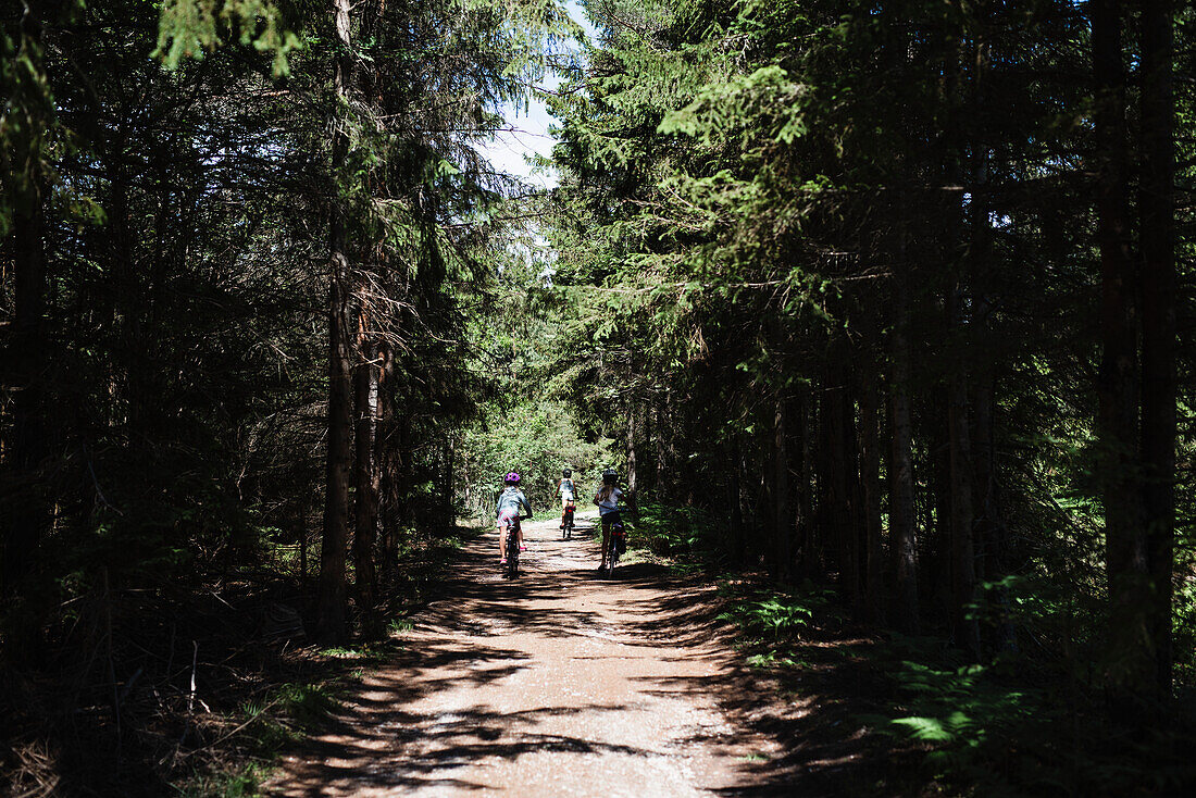 Menschen radeln durch den Wald