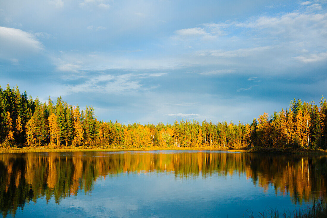 Herbstwald mit Spiegelung im See