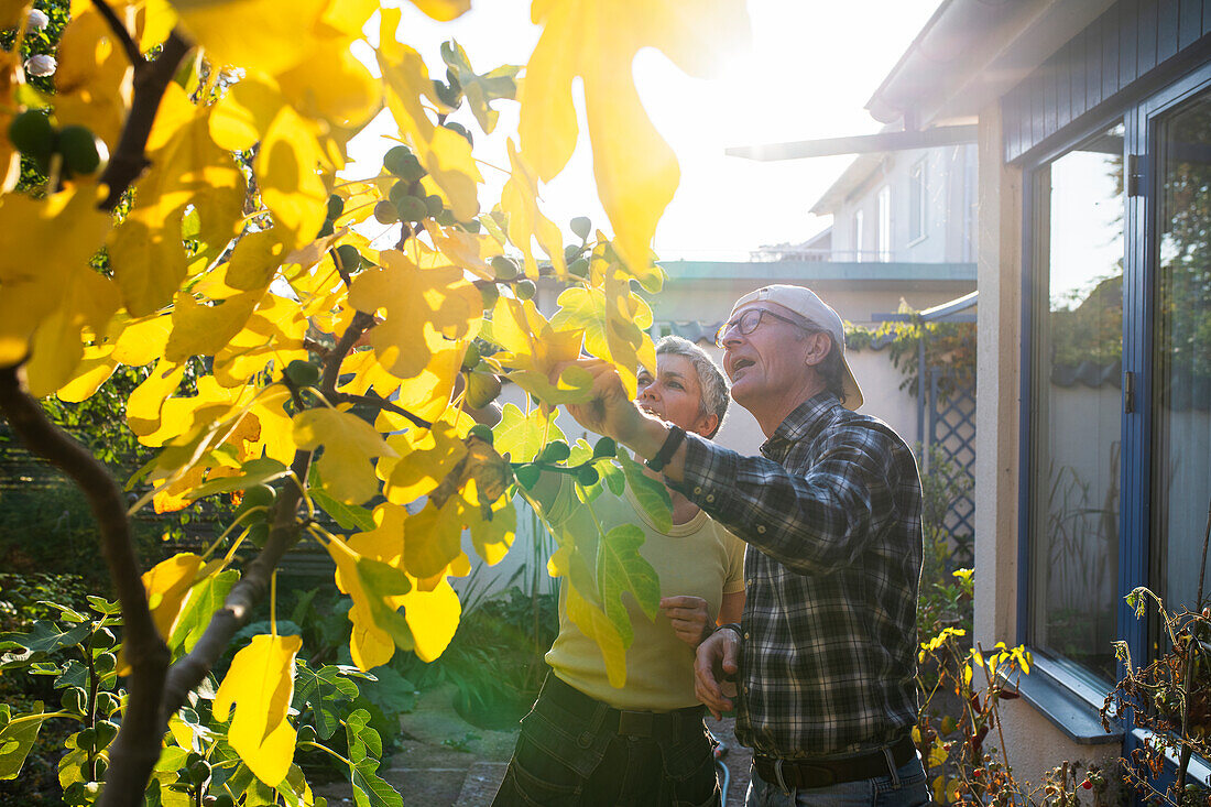 Couple in garden