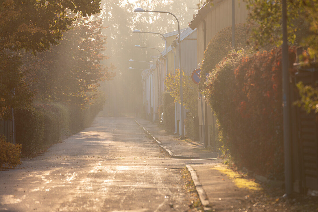 Straße im Herbst