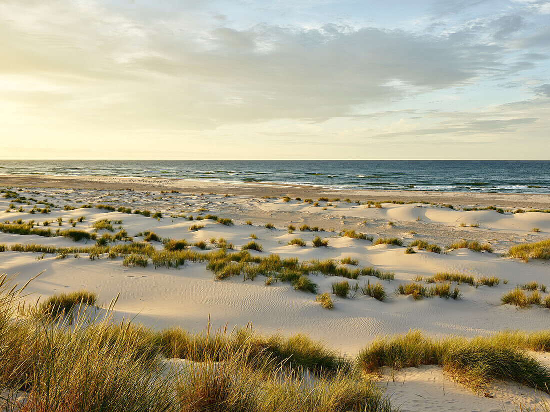 Sand dunes at sea