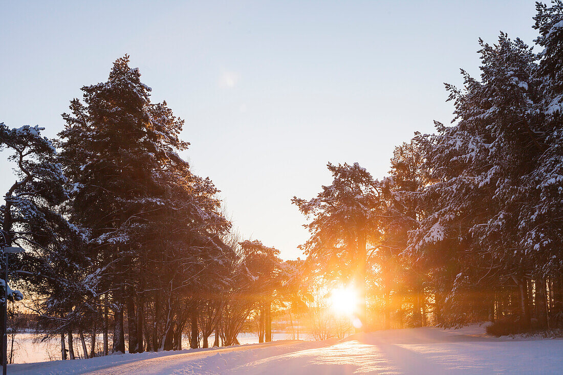 Winter landscape at sunset