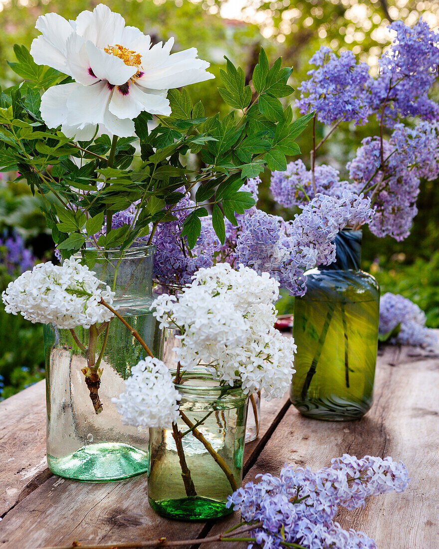 Lilac flowers in vases