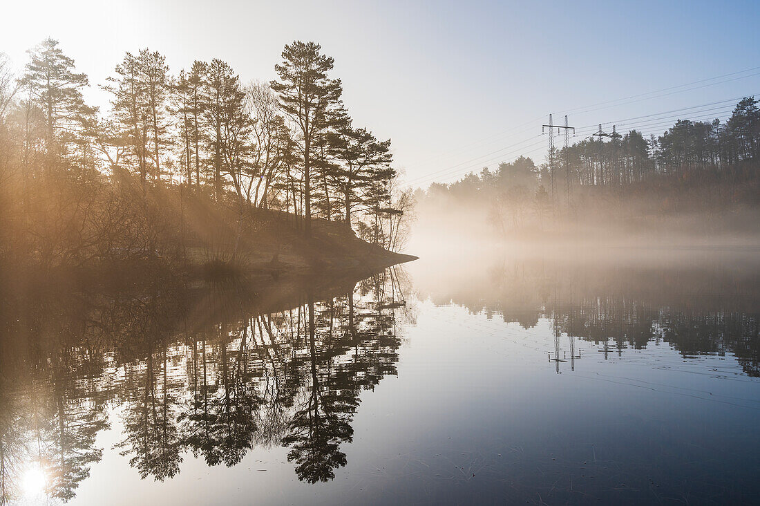 Foggy landscape