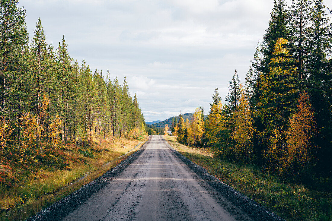 View of dirt road