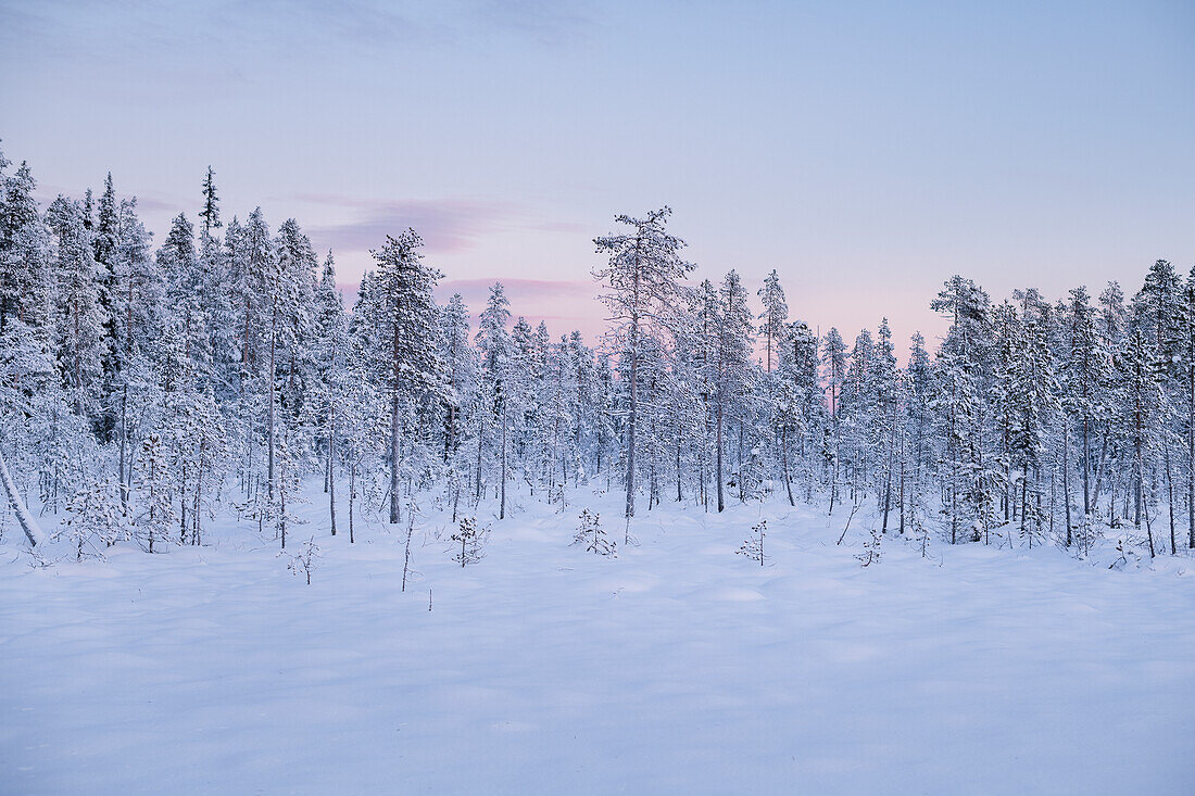 Winterlandschaft bei Sonnenuntergang